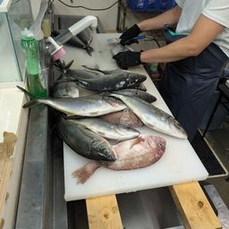 シマアジ