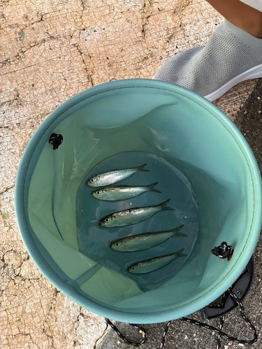 牧港湾