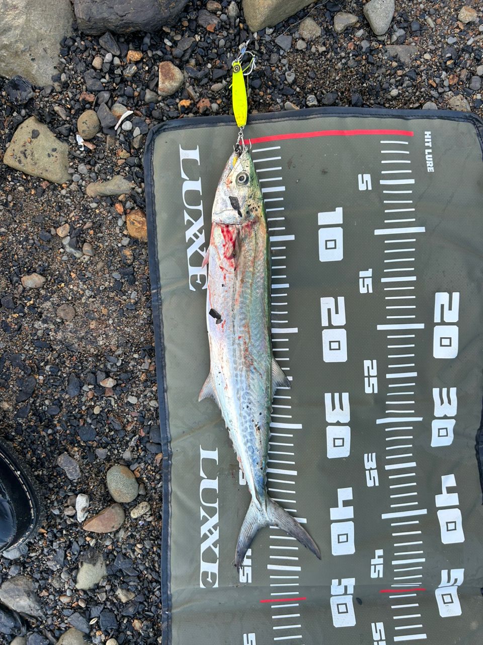 コルトスナイパーSS96M Amazon | シマノ(SHIMANO) ショアジギングロッド 24 コルト