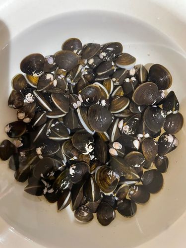 大村湾