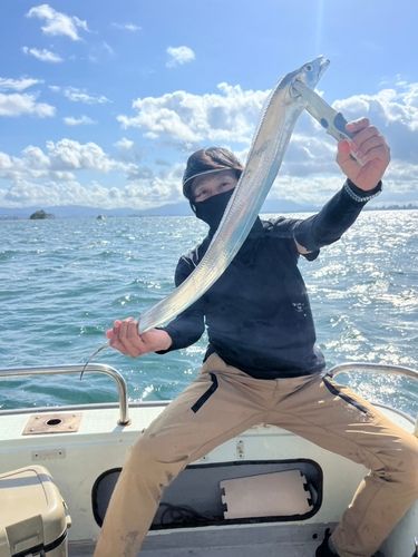 タチウオの釣果