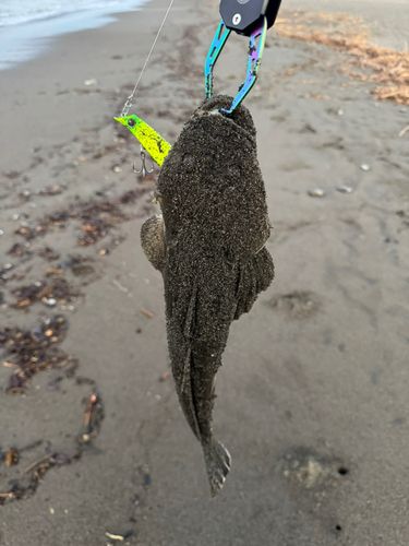 柳島海岸