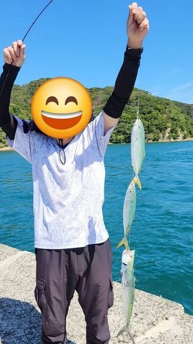 仙崎人工島