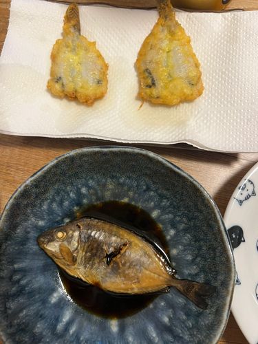 波崎海岸
