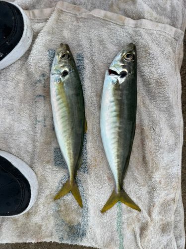長崎湾
