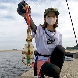 釣りガールみかん さんの 2025年09月22日のアオリイカの釣り・釣果情報