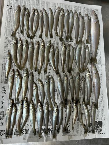 茅ヶ崎ヘッドランド
