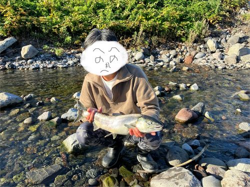アキアジの釣果