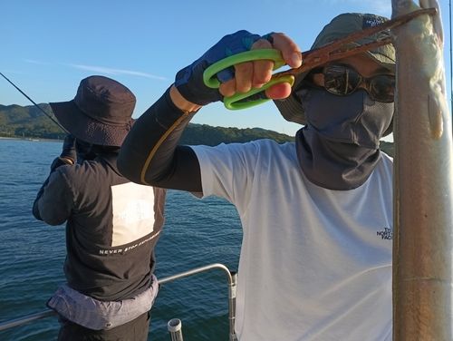 ハモの釣果