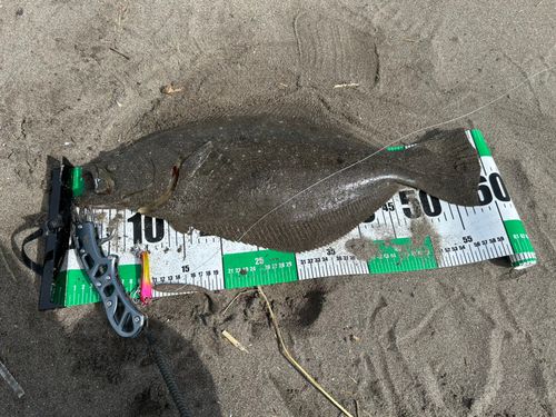 石狩湾
