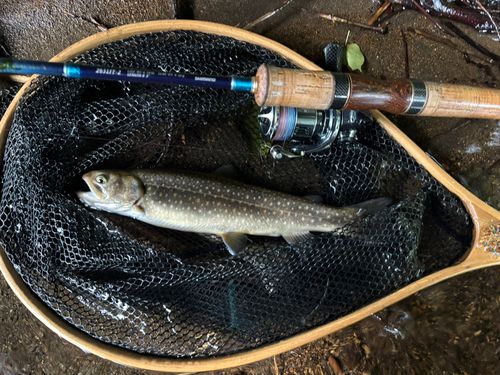 長野県南部