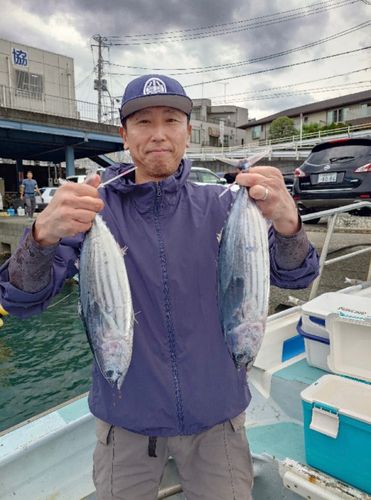 カツオの釣果