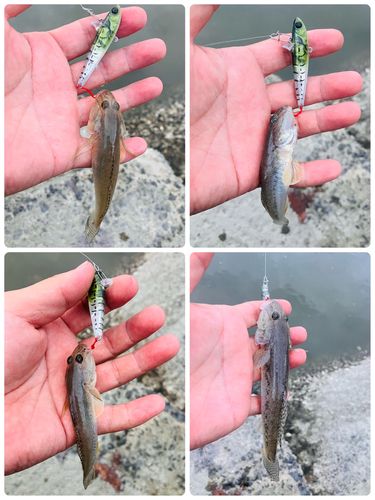 大海湾