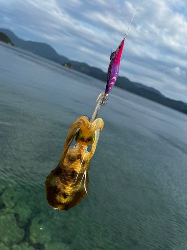 青海島