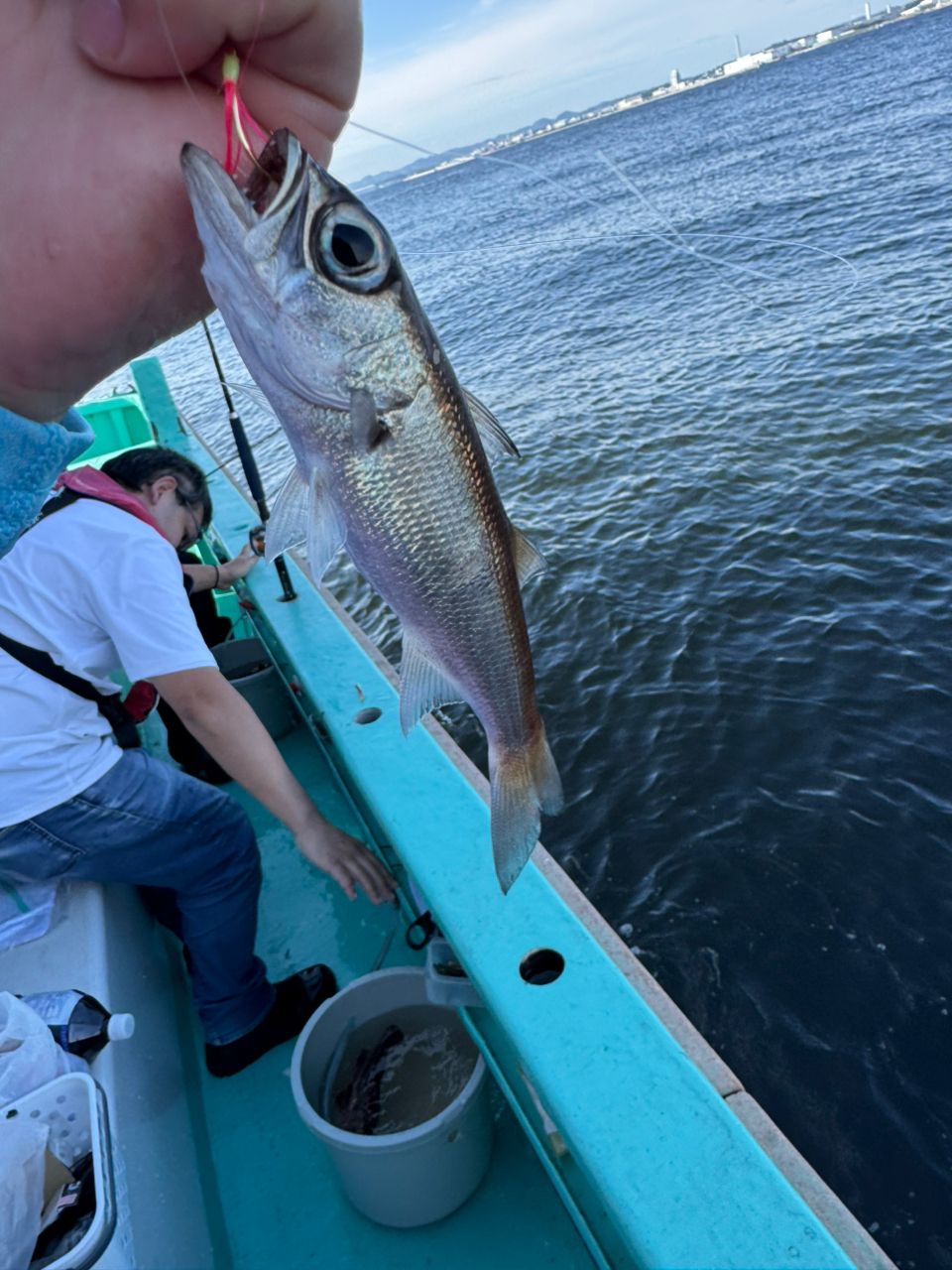 若造りジャパンさんの釣果 3枚目の画像