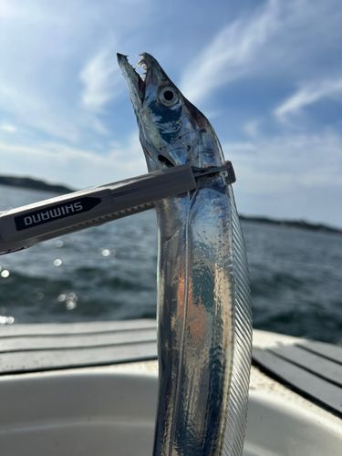三河湾