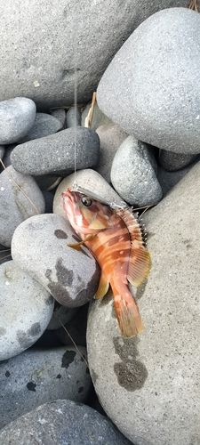 御浜岬
