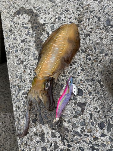 羊角湾