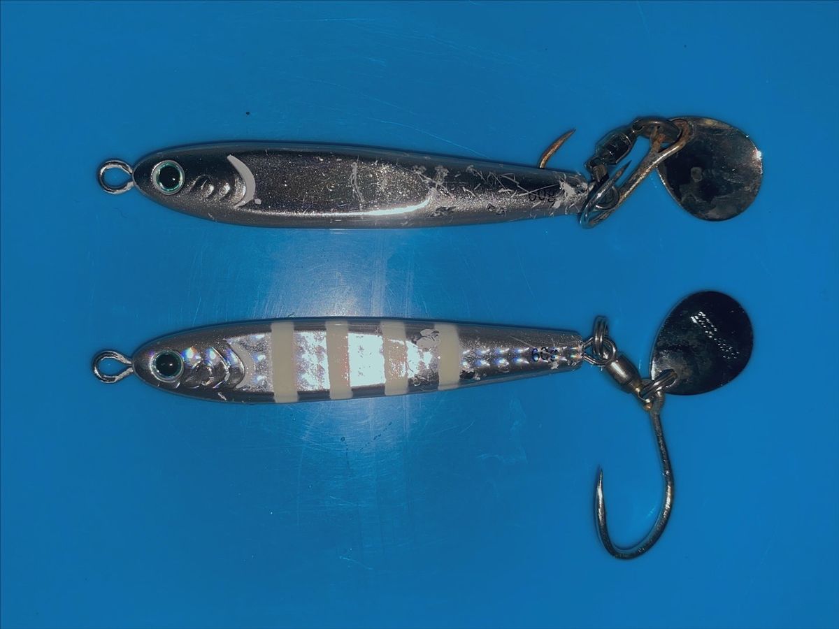 ほかちんさんの釣果 2枚目の画像