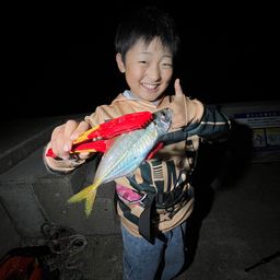 アジ