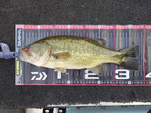 阿武川ダム