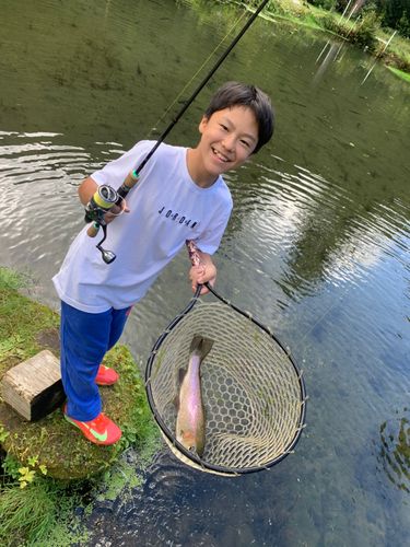 トラウトの釣果