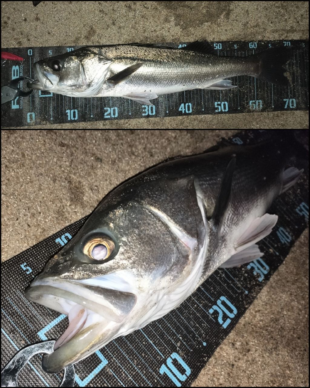 【美品】メガバス　空海　CK-92mls CK-92MLS | Megabass-メガバス