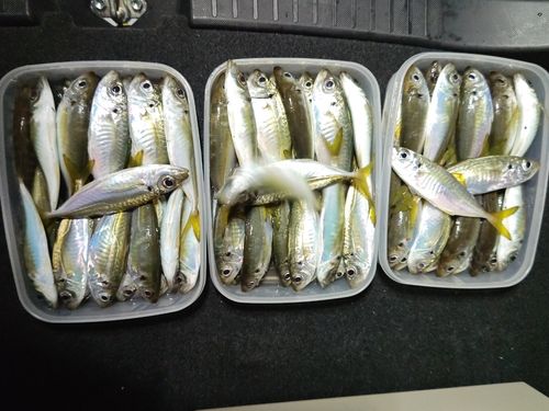 五ヶ所湾