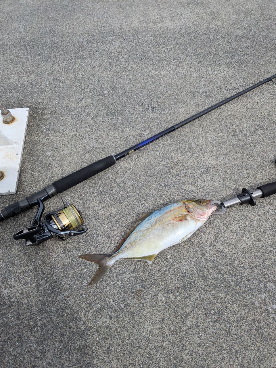 SHIMANO 21コルトスナイパーBB S96MHの最安値・インプレ・釣果