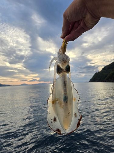若狭湾