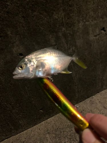 外房