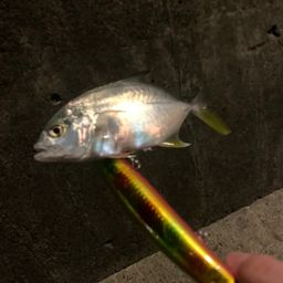 メッキ