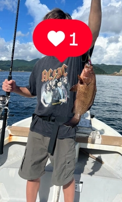 オオモンハタの釣果