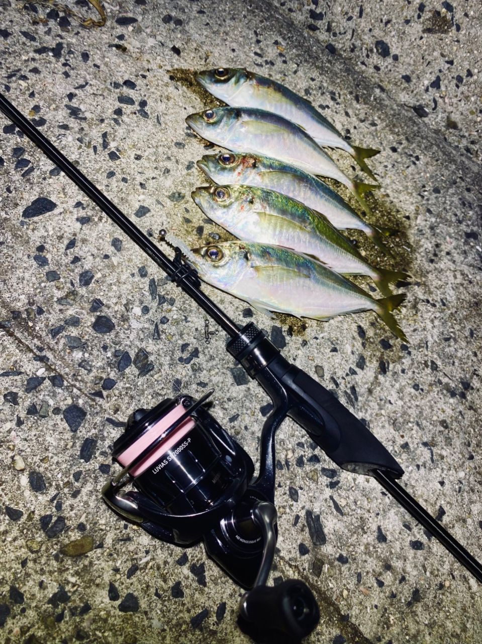 AbuGarcia ソルティーステージ プロトタイプ アジングの最安値