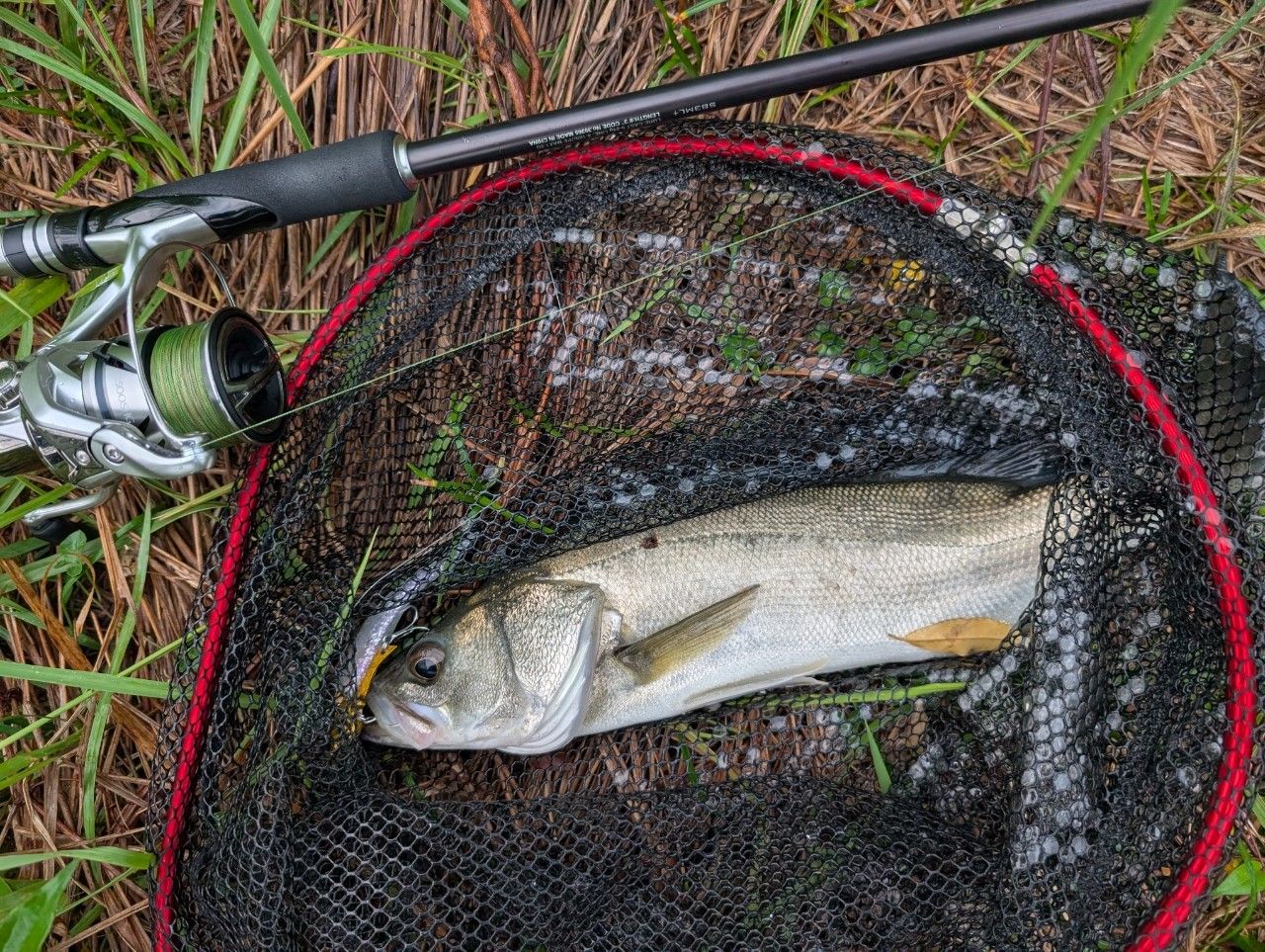 SHIMANO 19ハードロッカー BB S83ML+の最安値・インプレ・釣果