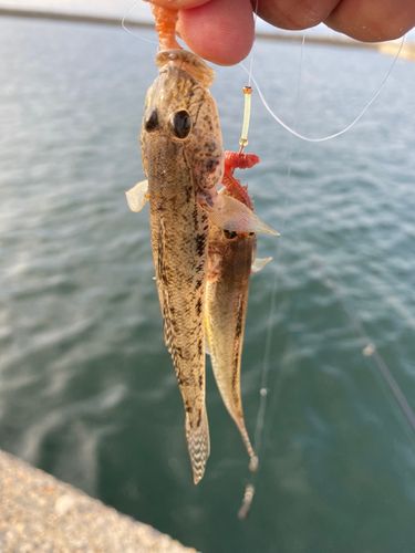 河芸漁港