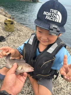 オオモンハタの釣果