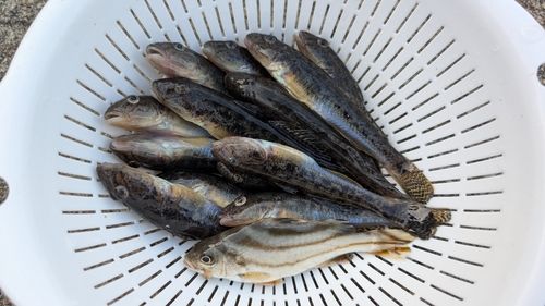 三河湾