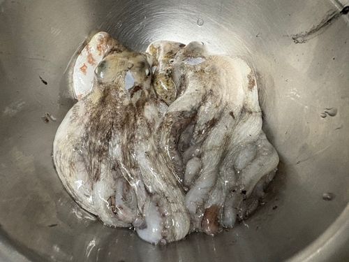 播磨灘