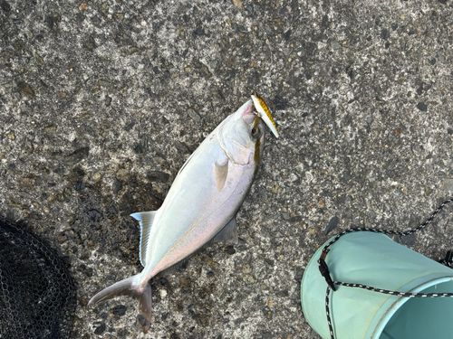 垂水新港