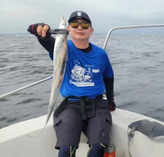 タチウオの釣果