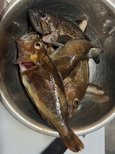 浜益漁港