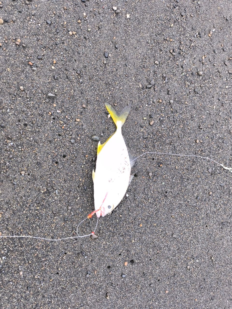 メッキ