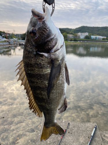 細江湖