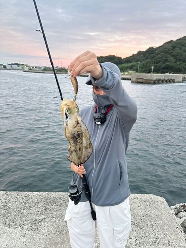 篠島