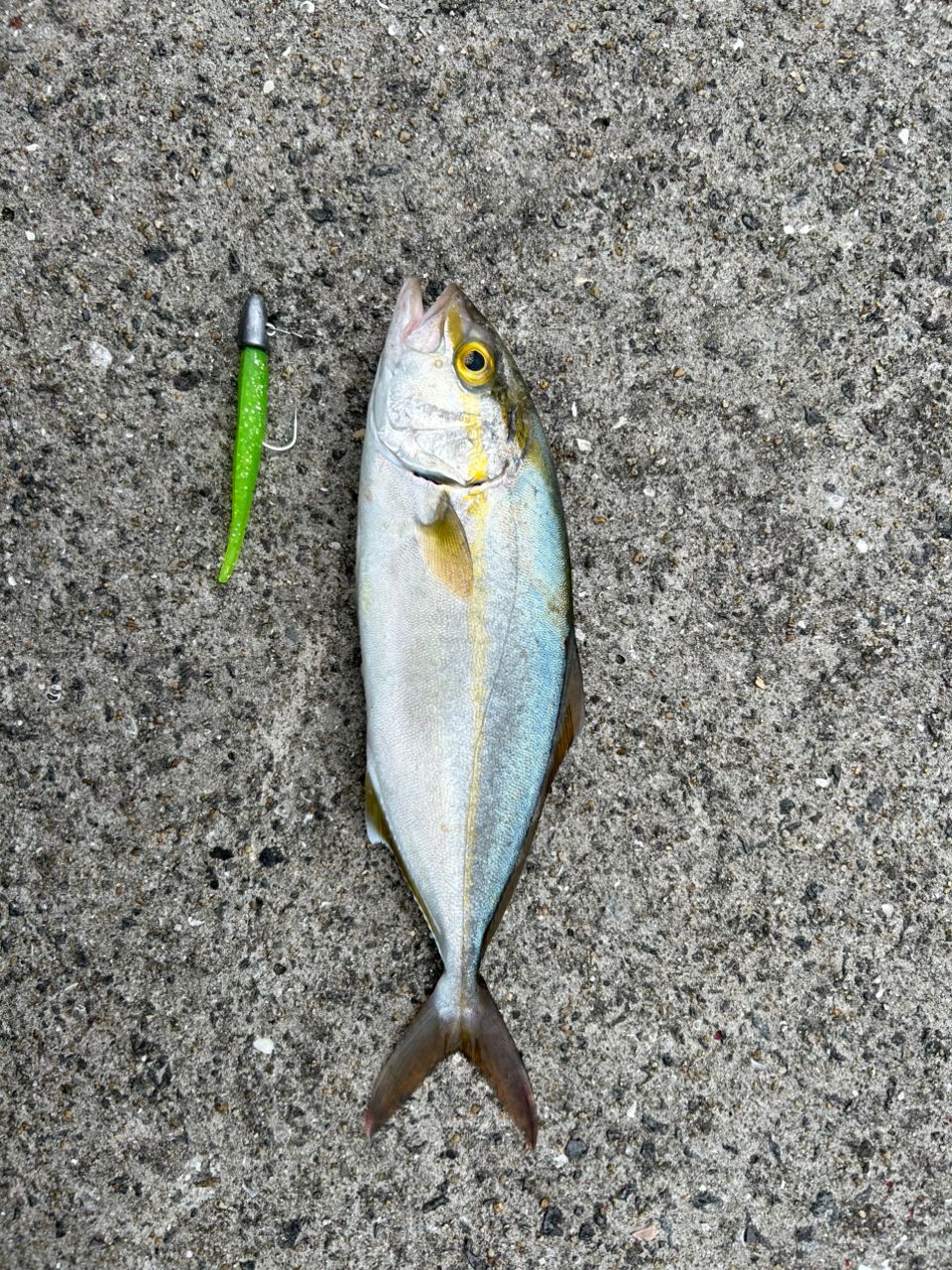 SHIMANO 23ダイナダート XR S90MHの最安値・インプレ・釣果 | 本音の