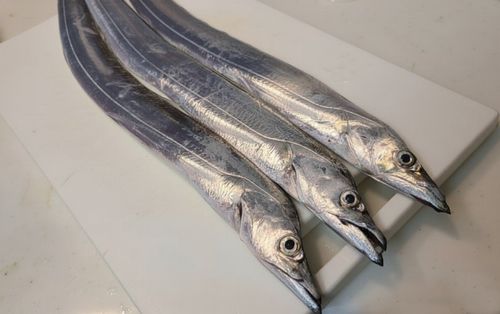 本牧海づり施設
