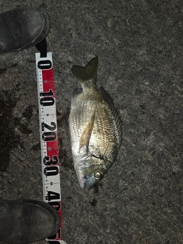 金武湾