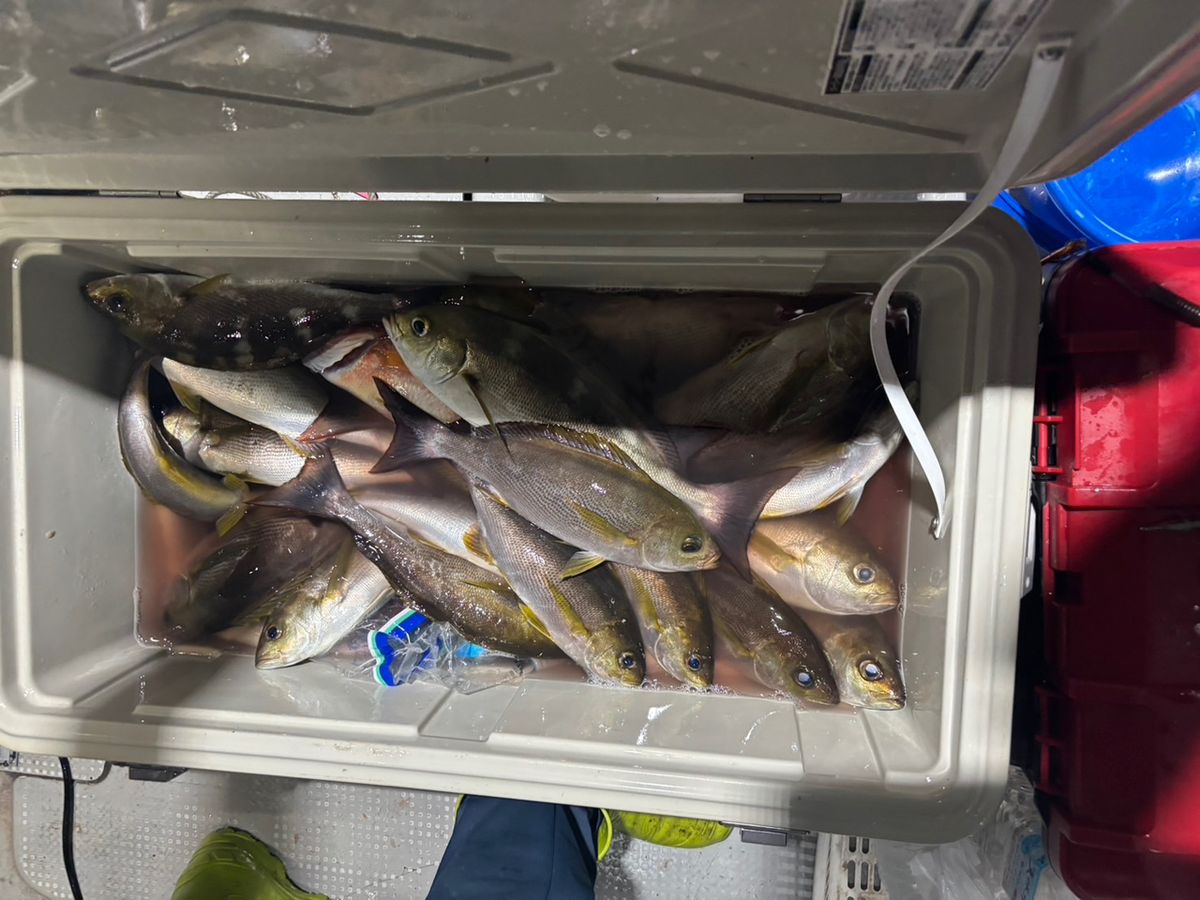 田畑良朗@なつき丸さんの釣果 3枚目の画像