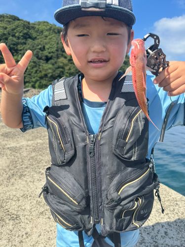 蚊焼港